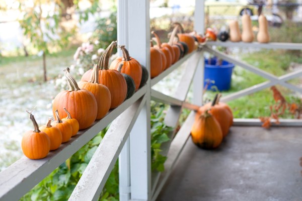 \"pumpkins-on-railing\"